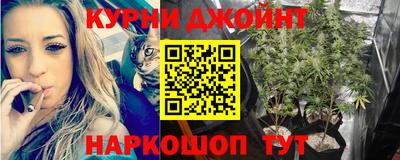 скорость Заводоуковск