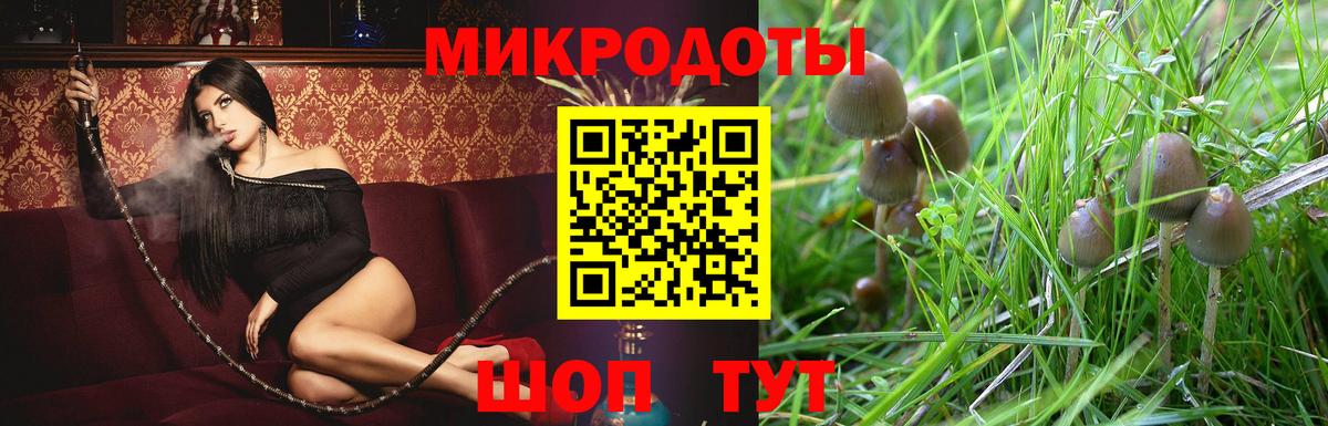 Псилоцибиновые грибы GOLDEN TEACHER  Псилоцибиновые грибы мицелий  Вход с VPN  Екатеринбург 
